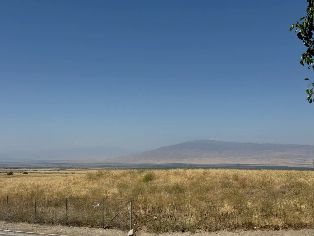 Open golden grassland running out to a lone mountain under a clear blue sky.