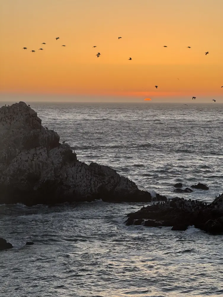 Golden-hour coastline — sunlit rocks and birds wheeling over the surf.